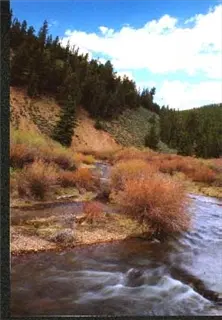 small_Swan River (3).webp